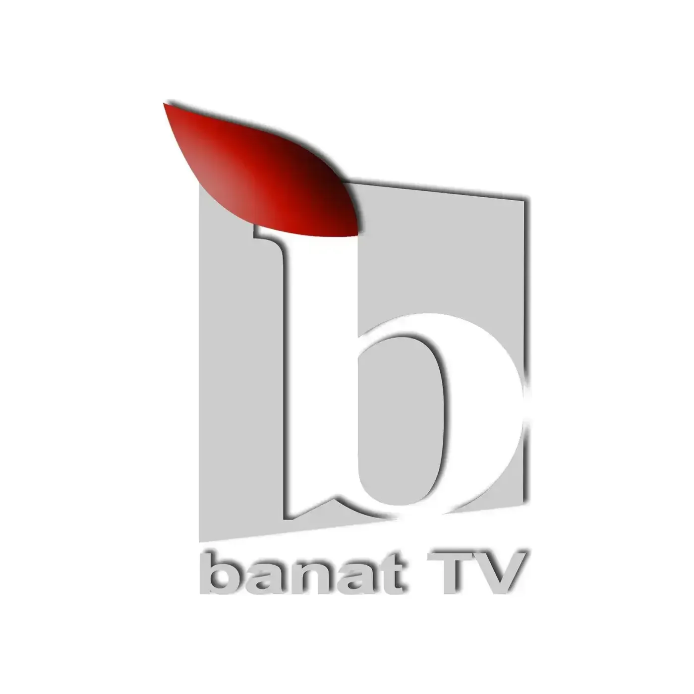 Banat TV